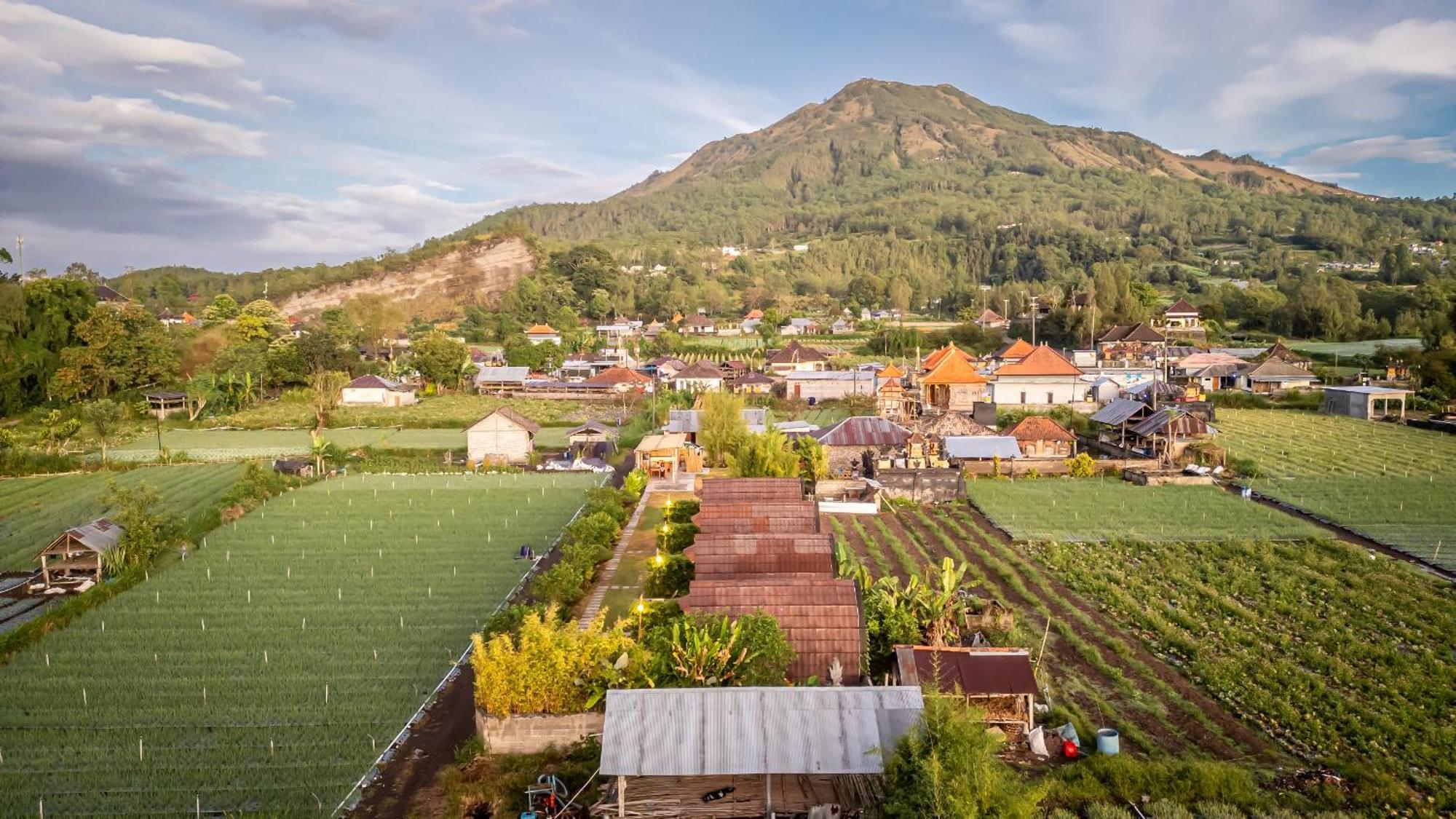 Tegal Bamboo Cottages & Private Hot Spring Baturaja  ภายนอก รูปภาพ