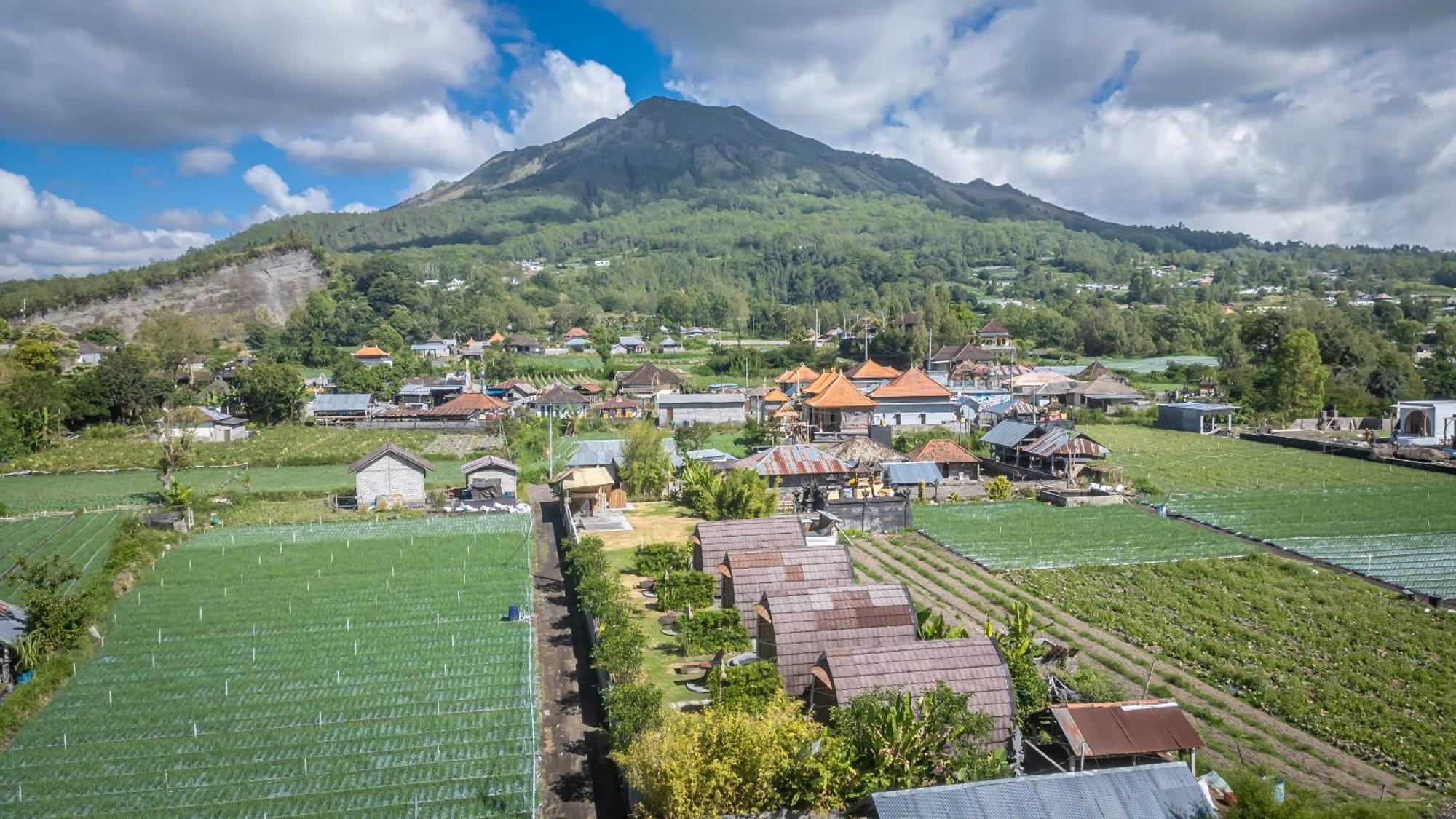 Tegal Bamboo Cottages & Private Hot Spring Baturaja  ภายนอก รูปภาพ