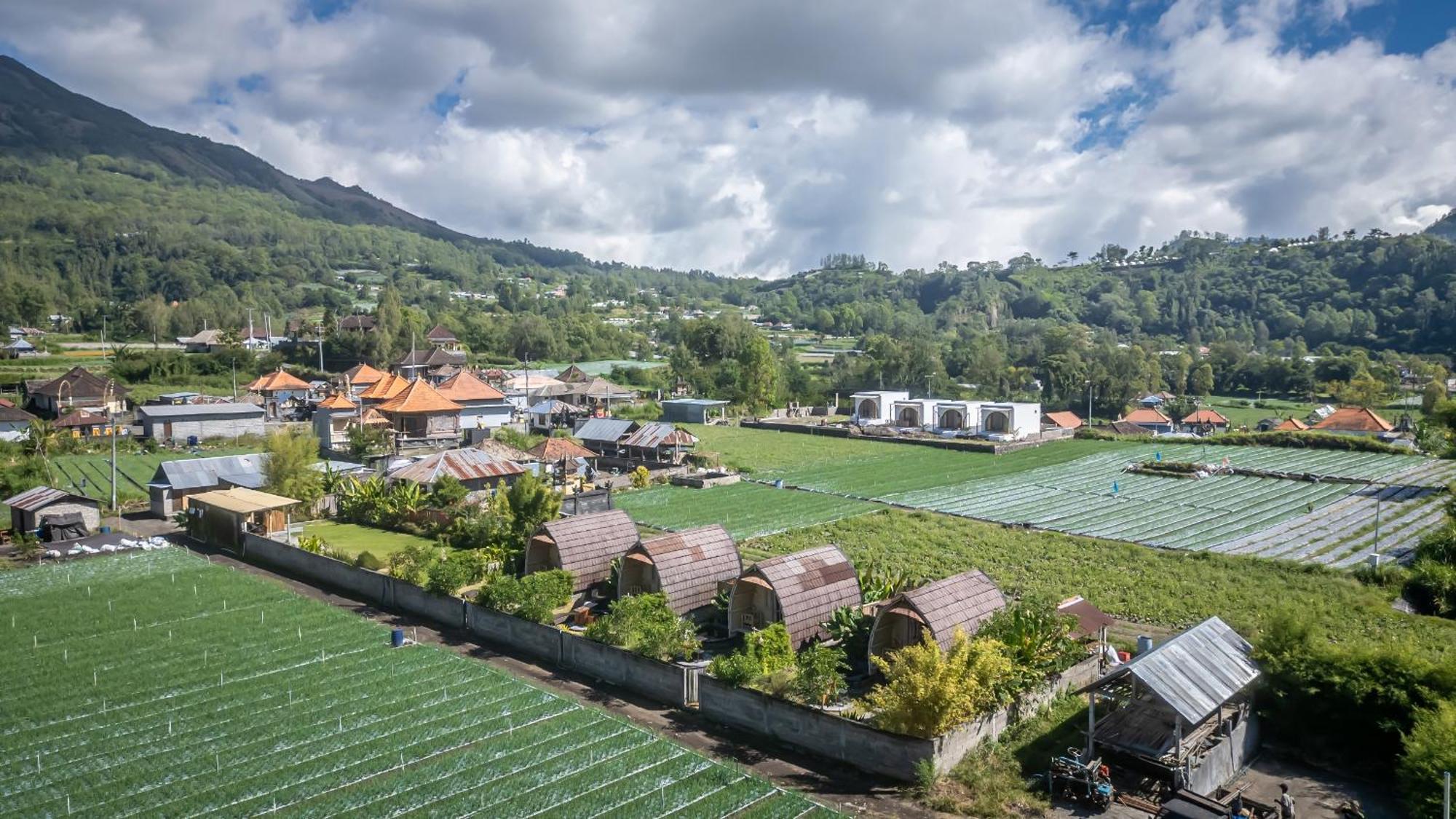 Tegal Bamboo Cottages & Private Hot Spring Baturaja  ภายนอก รูปภาพ