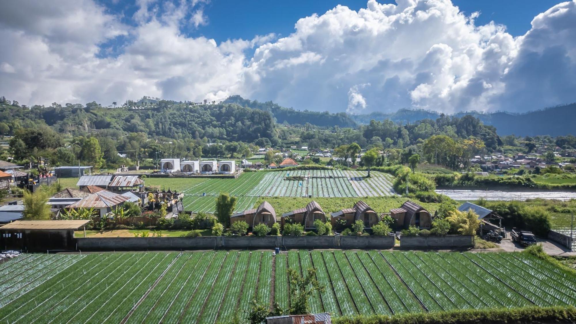 Tegal Bamboo Cottages & Private Hot Spring Baturaja  ภายนอก รูปภาพ