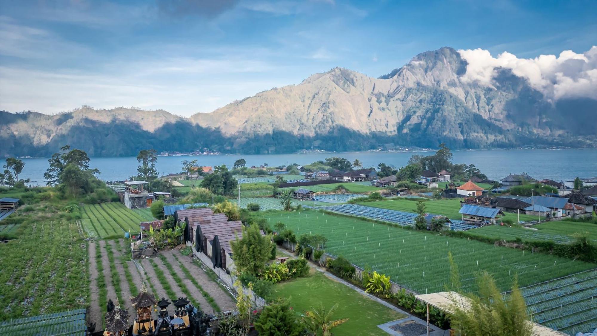Tegal Bamboo Cottages & Private Hot Spring Baturaja  ภายนอก รูปภาพ