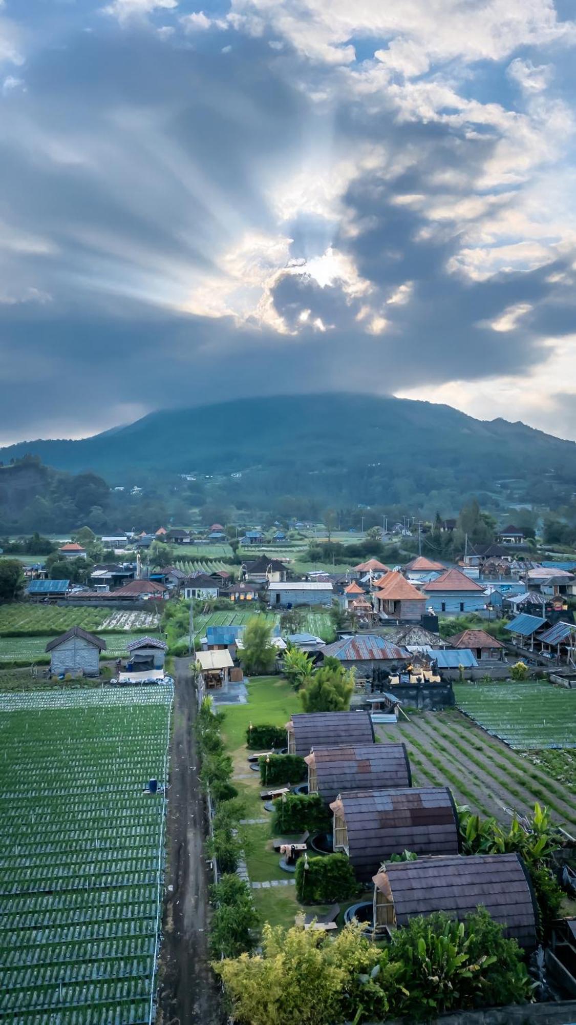 Tegal Bamboo Cottages & Private Hot Spring Baturaja  ภายนอก รูปภาพ